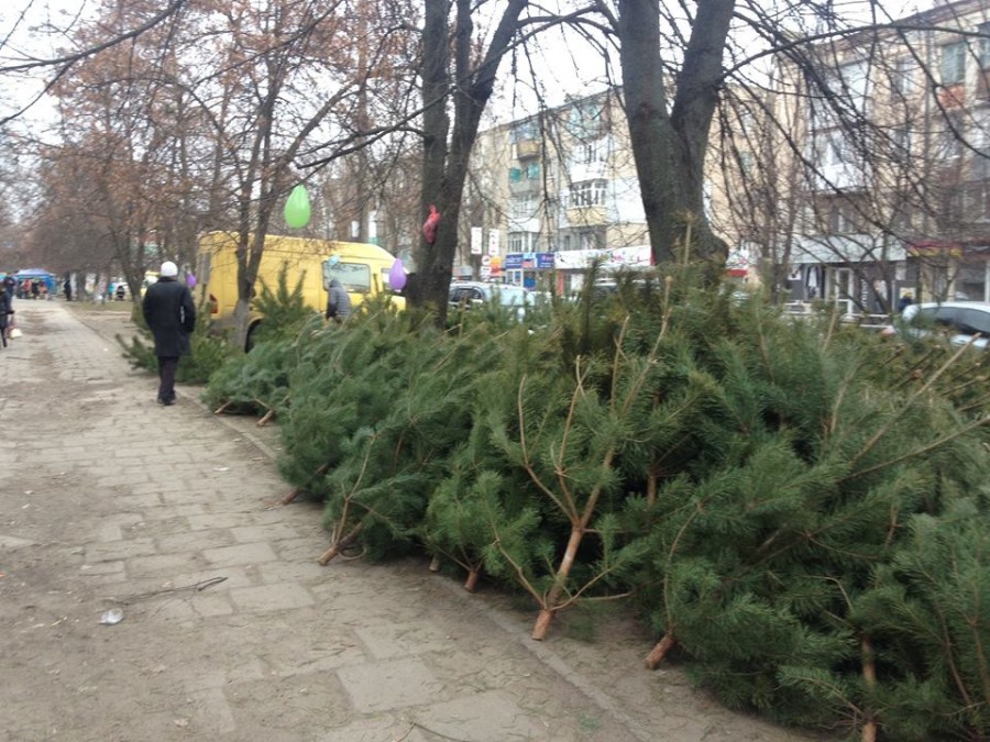 Інспекція з благоустрою Херсона пішла у рейди ялинковими базарами Інспекція з благоустрою Херсона пішла у рейди ялинковими базарами