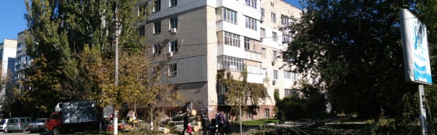 Ліквідацією небезпечних дерев влада Херсона не переймається, для цього є погода