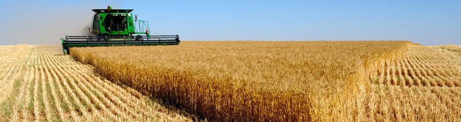 Проблемы в сельском хозяйстве привлекли внимание Проблемы в сельском хозяйстве привлекли внимание