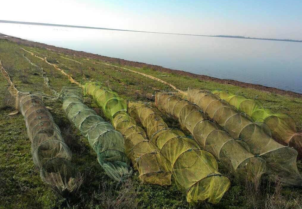 Браконьєри продовжують промишляти на водоймах Херсонщини