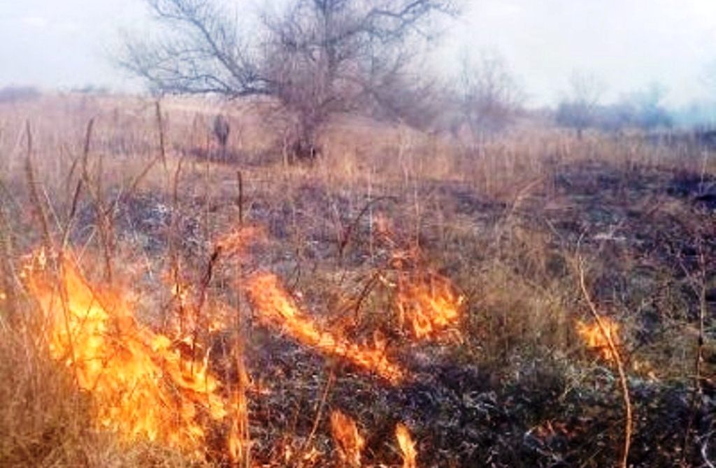 На Херсонщині сухо і сонячно область палає На Херсонщині сухо і сонячно область палає