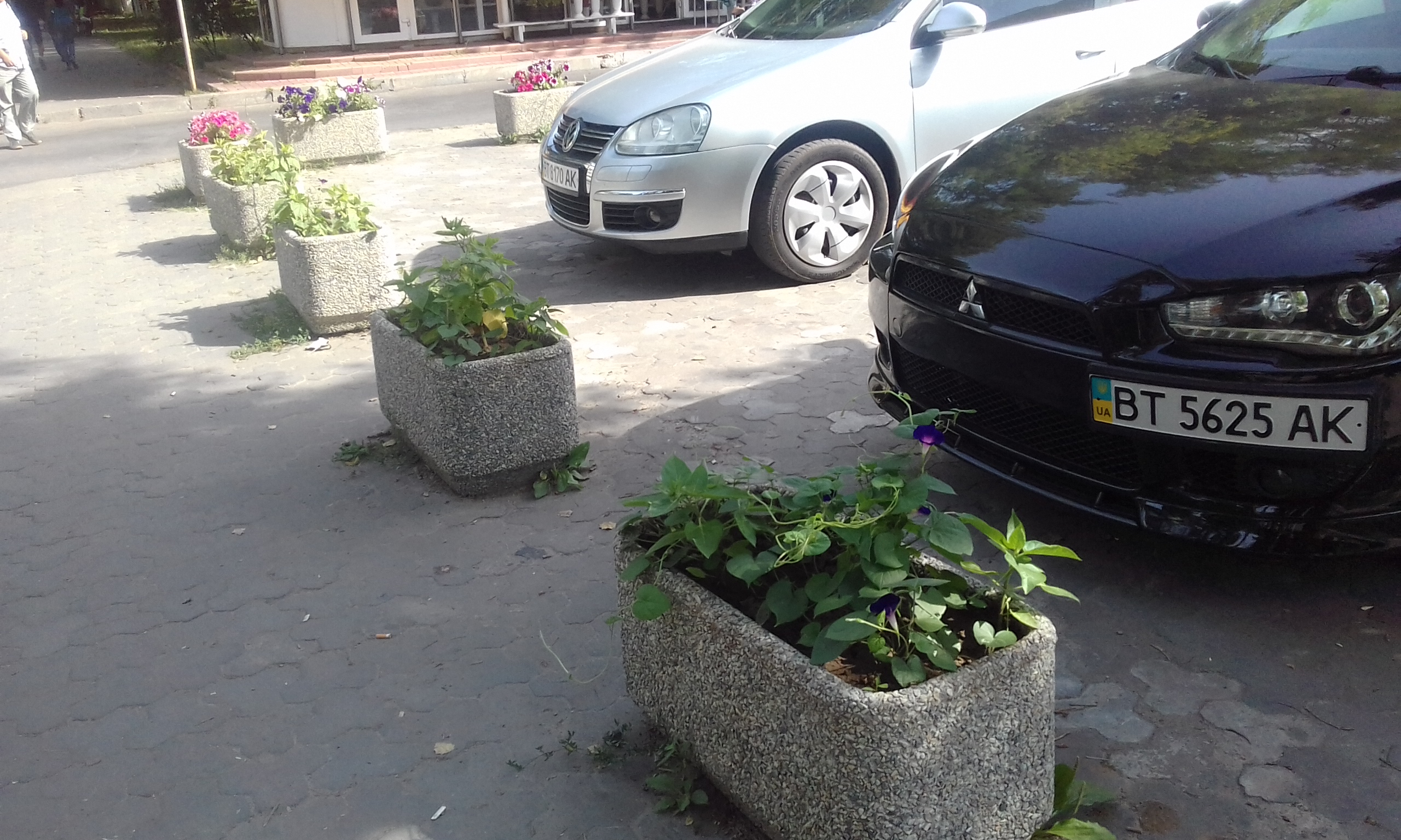 Херсонцы помогли коммунальным службам украсить вазоны с цветами Херсонцы помогли коммунальным службам украсить вазоны с цветами