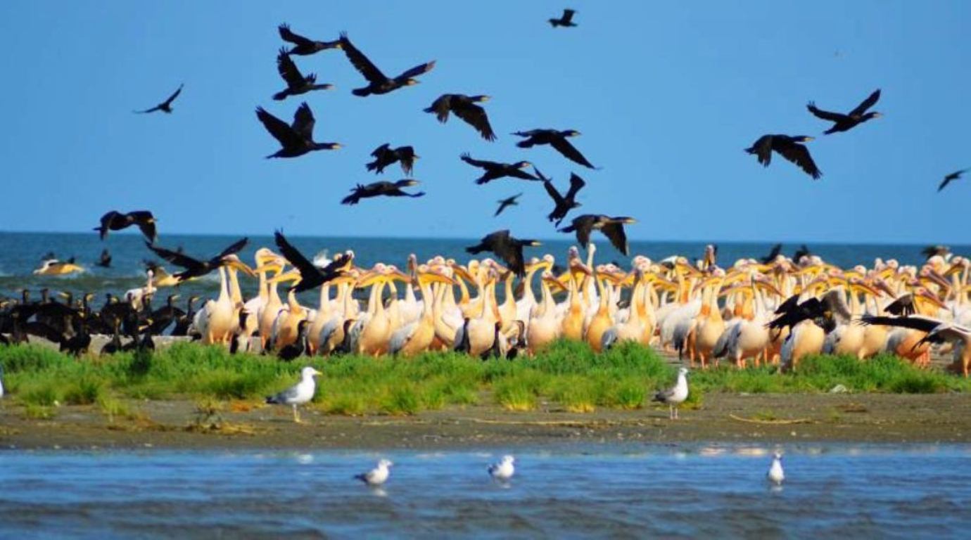 Черноморский биосферный заповедник - жемчужина Херсонщины