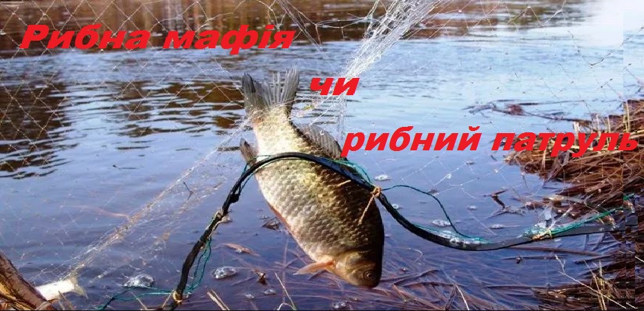 Херсонці зареєструвалися для участі в пікеті у Києві