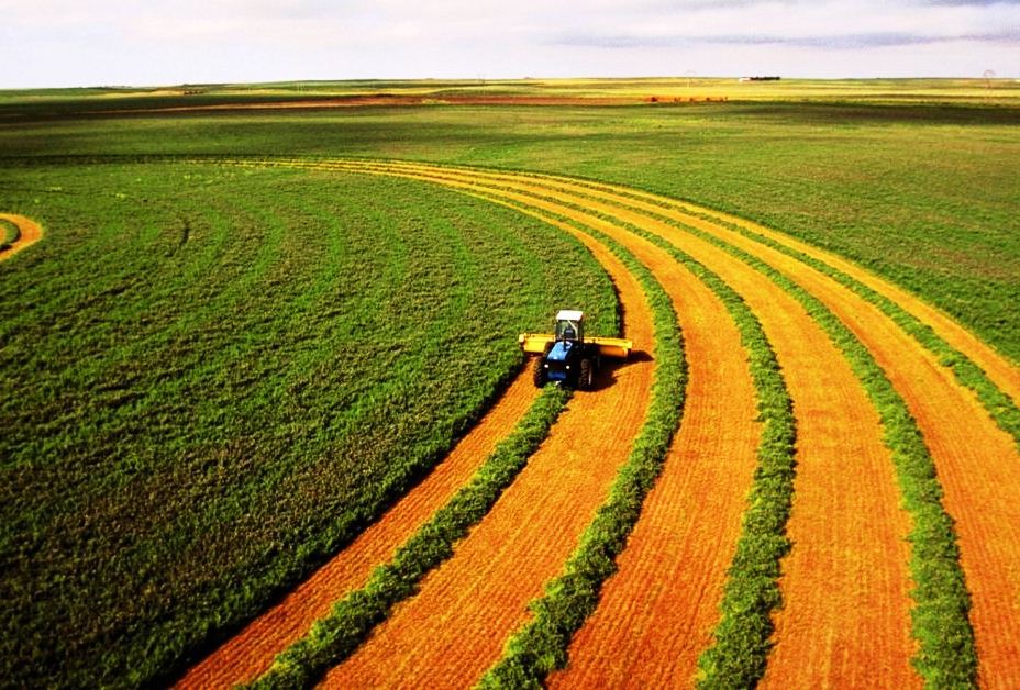 Херсонщина у лідерах з виробництва сільськогосподарської продукції