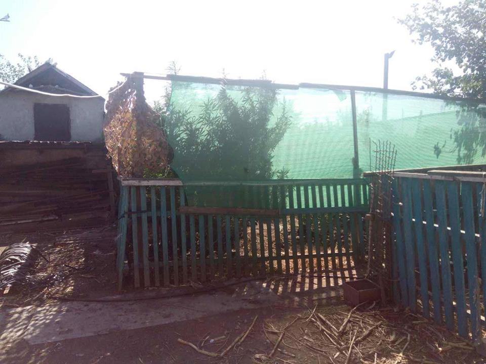 «Улов на мільйон»: на Херсонщині виявили конопляне поле