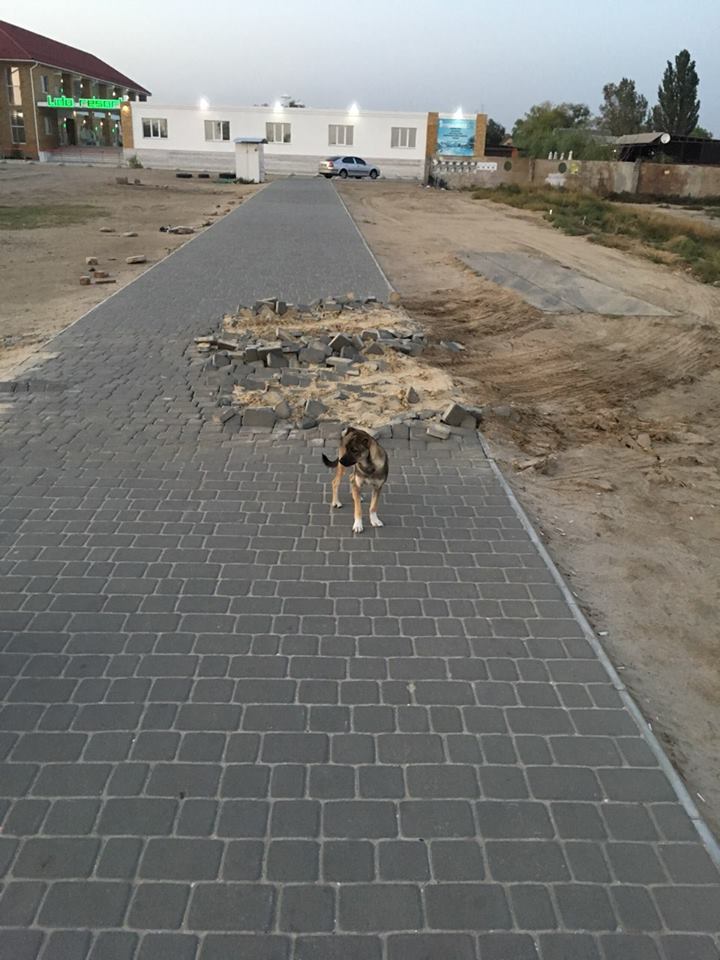 Для кого благоустраиваем - в Лазурном раскурочили  новый тротуар