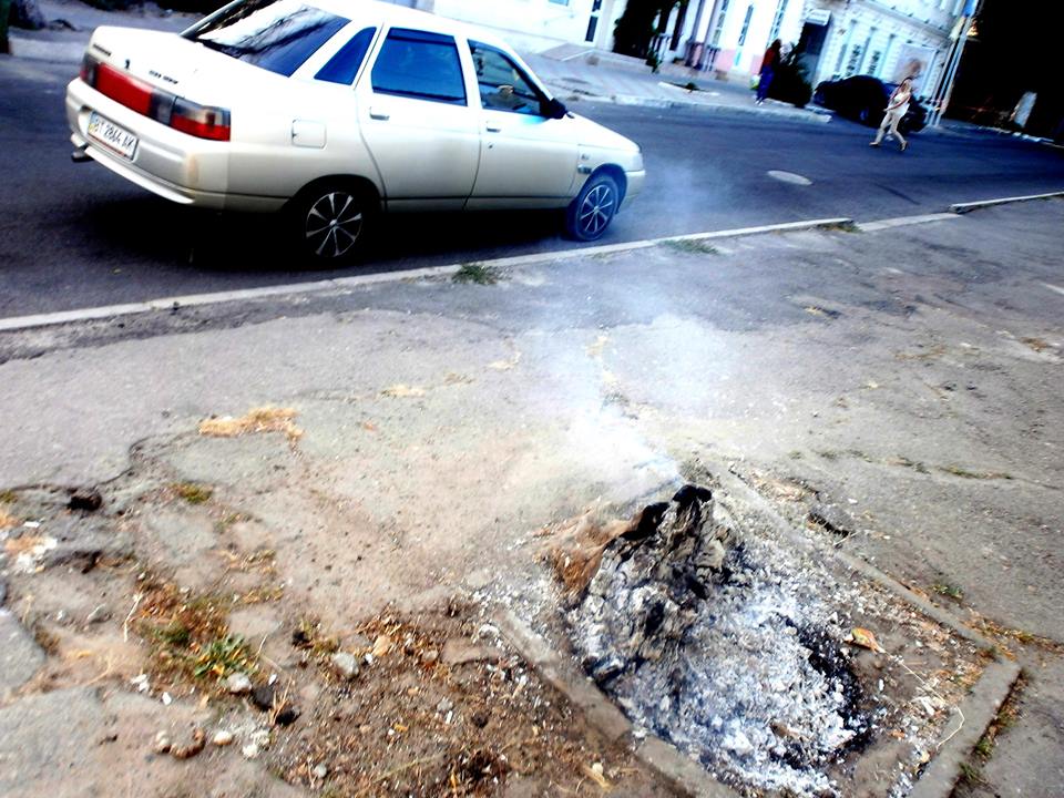 Избавление от старого дерева может превратиться в херсонскую легенду (фото)
