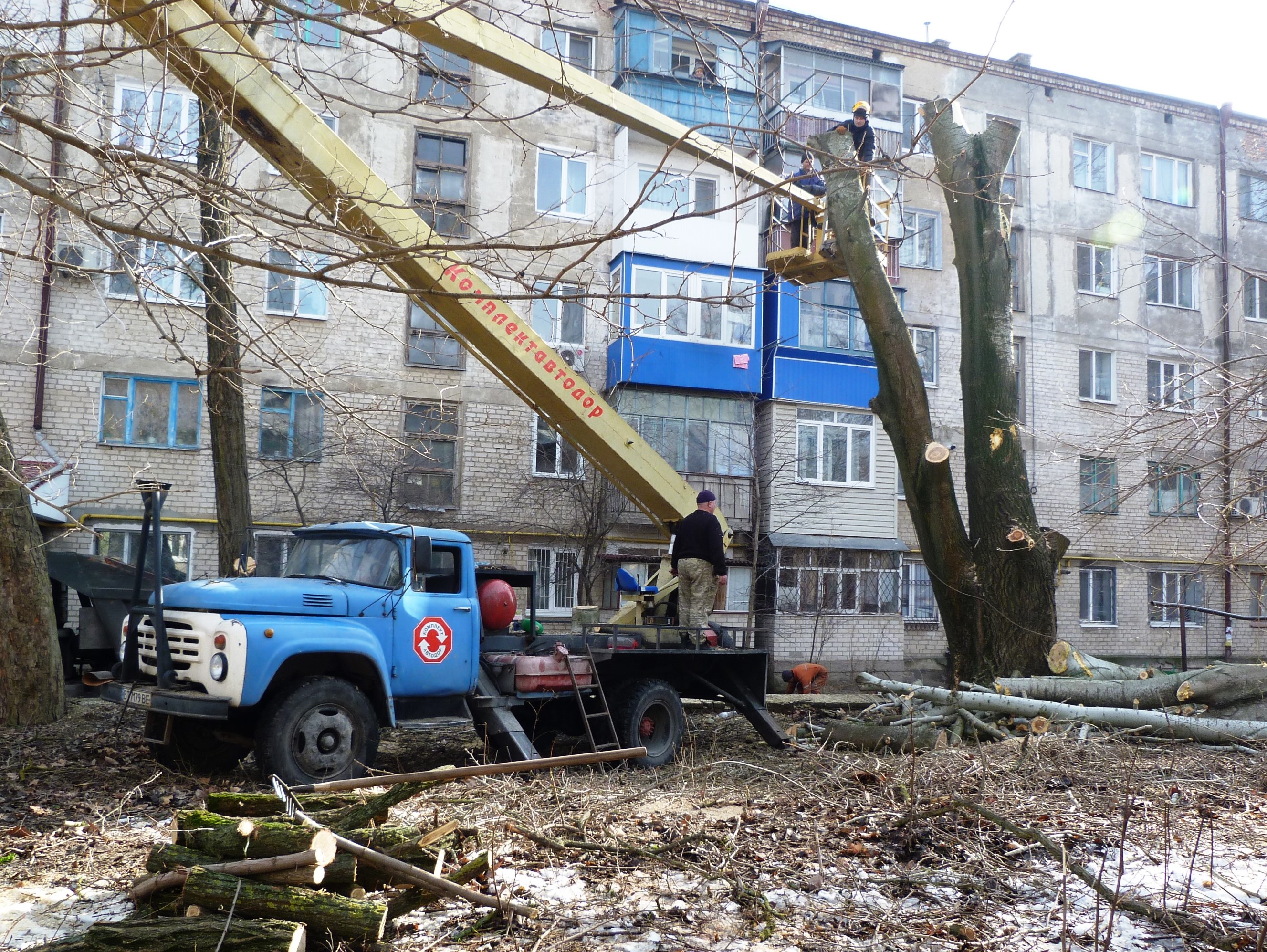 Удаление деревьев в Херсоне приостановлено Удаление деревьев в Херсоне приостановлено
