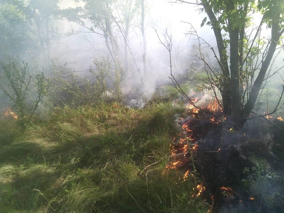 За добу на Херсонщині 8 разів горіла суха трава, сміття й очерет За добу на Херсонщині 8 разів горіла суха трава, сміття й очерет