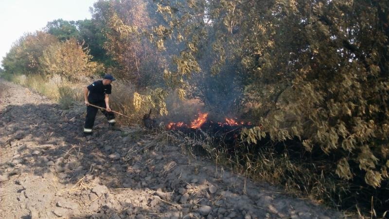 На Херсонщині рятувальники 14 разів виїжджали на гасіння сухостоїв та сміття