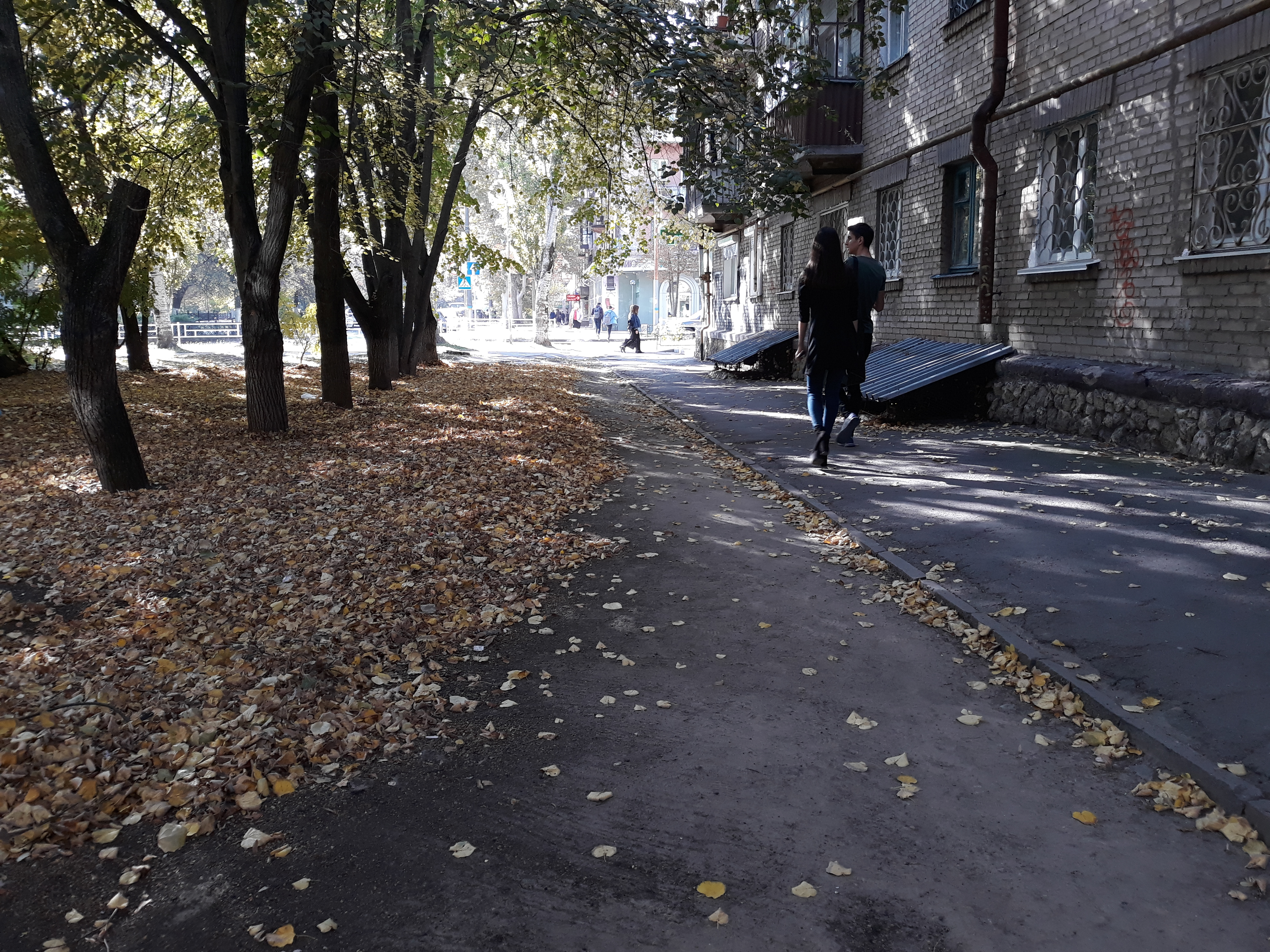 Вал лиственно-мусорной массы - так выглядит граница между сферами влияния херсонских коммунальщиков (видео)