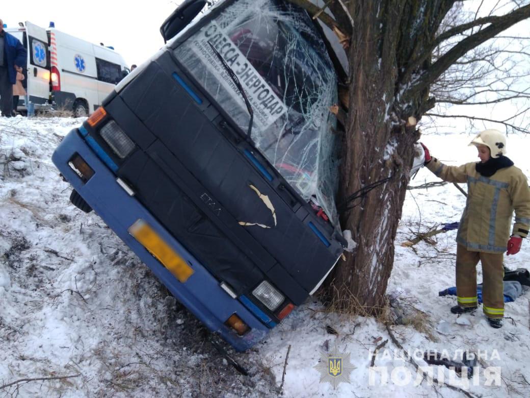 Під Малою Лепетихою ДТП: злетів автобус з пасажирами - є жертви