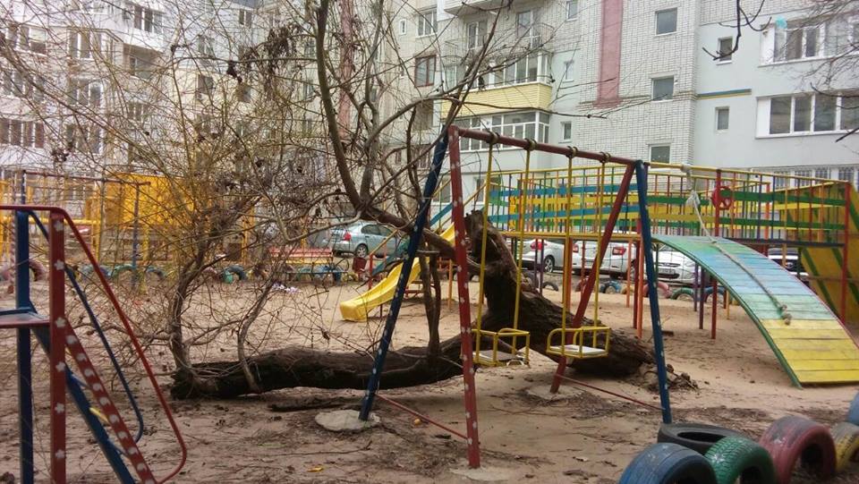 В Херсоне дерево упало прямо на детскую площадку