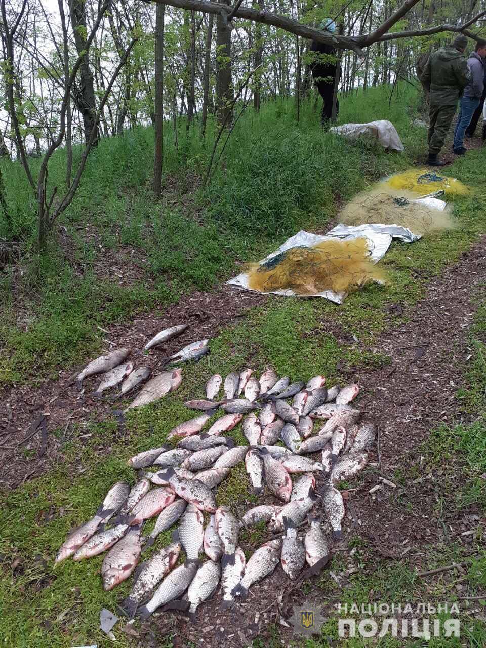 На Херсонщині - черговий
