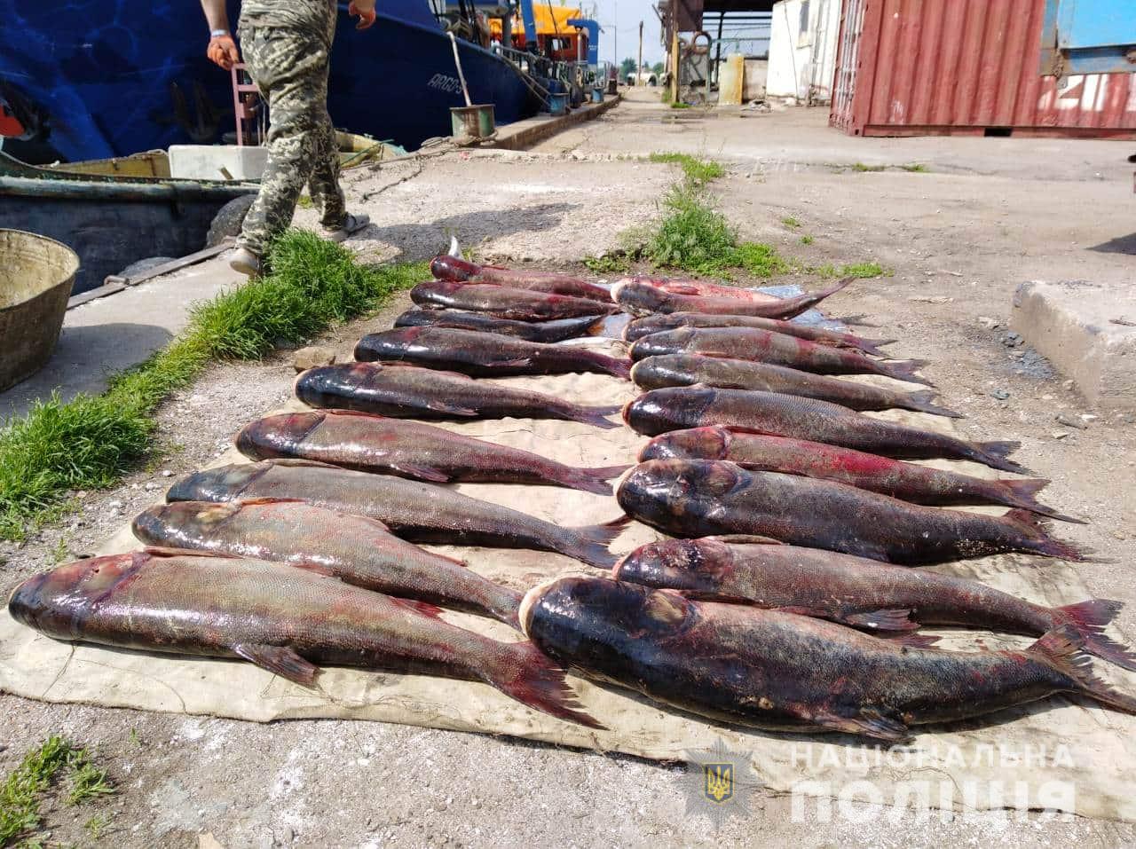 На Херсонщині продовжуються профілактичні заходи поліції «Нерест»