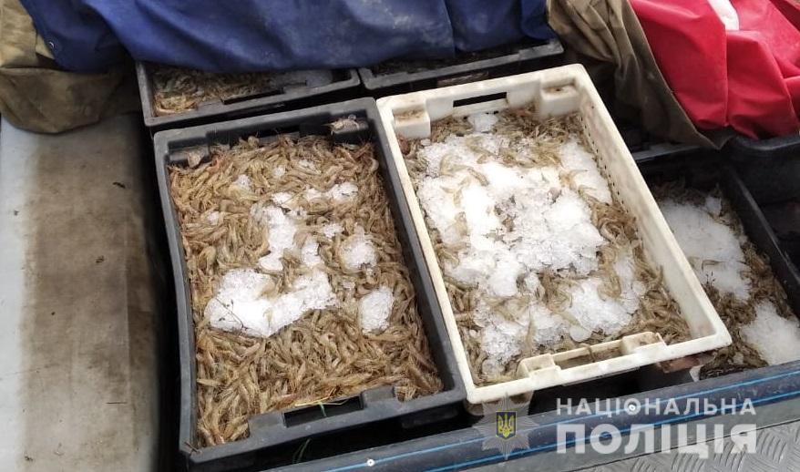 Поліцейські затримали браконьєрів, які перевозили 14 ящиків з креветкою