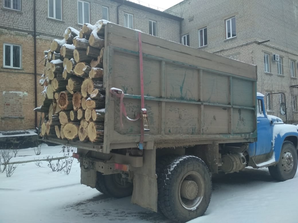 Житель Каховки отримав штраф за незаконну вирубку акації