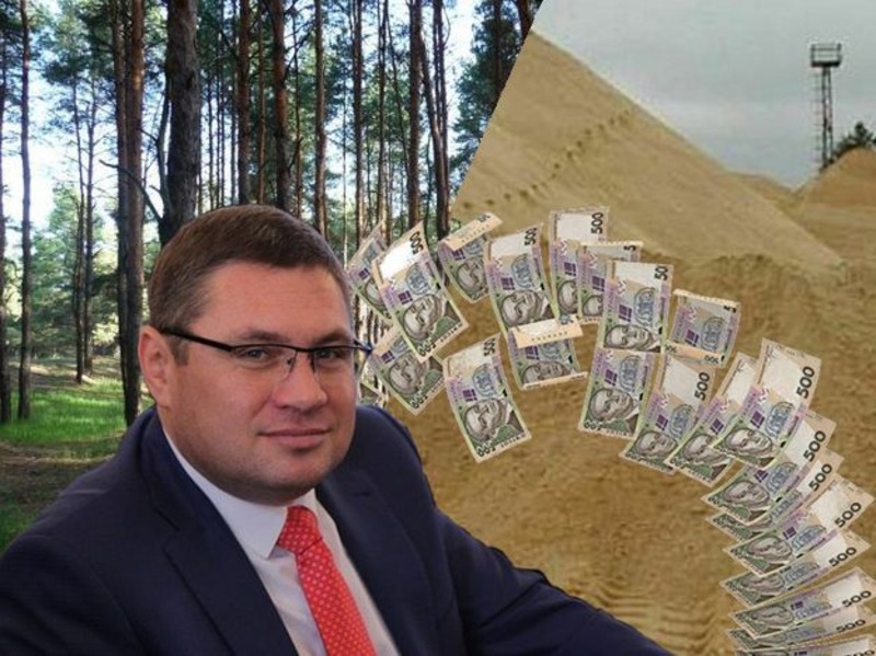 Чиновник, подозреваемый в поджоге Олешковского леса, безнаказано выпиливает сгоревшие деревья